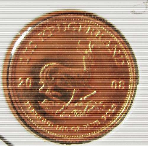 (((  CRAZY ONE RAND  )))....2008....1/10oz...GOLD...BULLION...KRUGERRAND