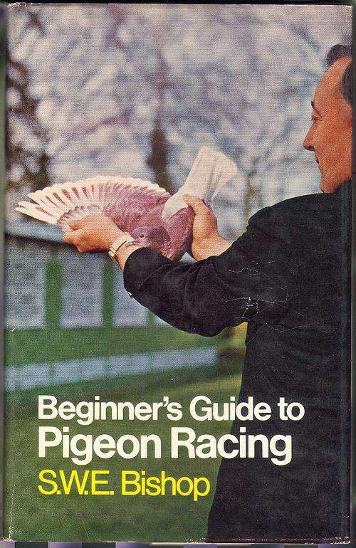 Pigeon Racing - SWE Bishop