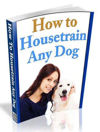 HOW TO HOUSETRAIN ANY DOG