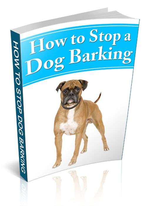 HOW TO STOP DOG BARKING