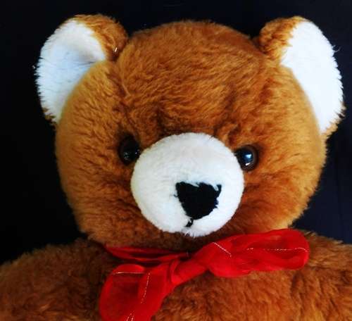 collectable vintage Bunjy teddy bear Made in South africa.