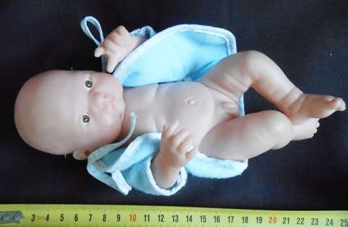 baby boy doll chubby newborn look anatomically correct