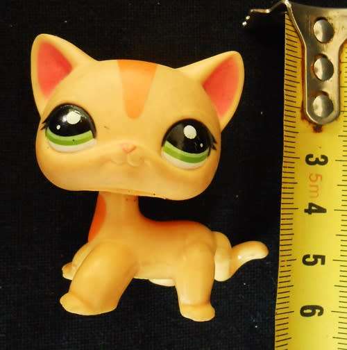 collectable Littlest Pet shop Figure Orange Yellow Shorthair Cat #1905