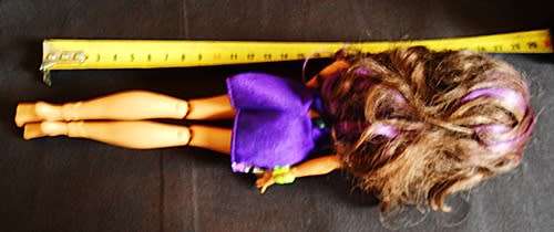 Collectable Monster High Doll Clawdeen Wolf daughter of Werewolf Doll 2015
