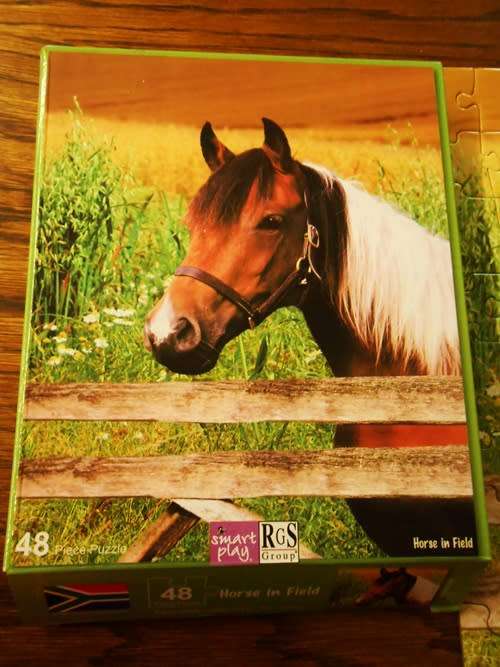 Horse in field 48 piece childrens puzzle