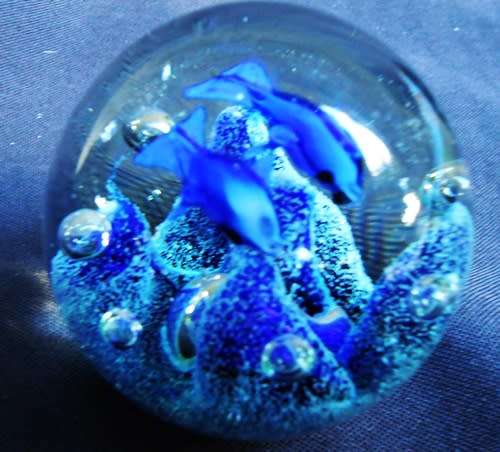 collectable glass paperweight with  blue fish swimming over blue coral