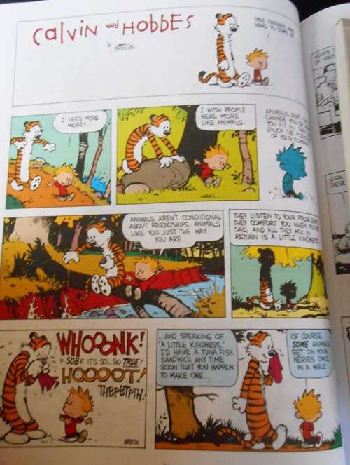 The Indispensable Calvin and Hobbes, a Calvin and Hobbes Treasury by Bill Watterson