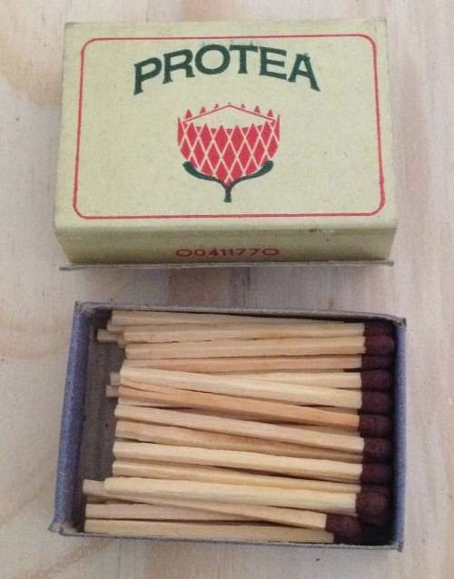 PROTEA MATCHBOX by Lion Matches South Africa from 1980s