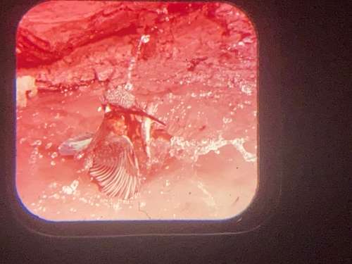 GAF Viewmaster View Master with sample reel 1980s