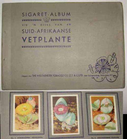SUID AFRIKAANSE VETPLANTE - South Africa complete Cigarette Card Book