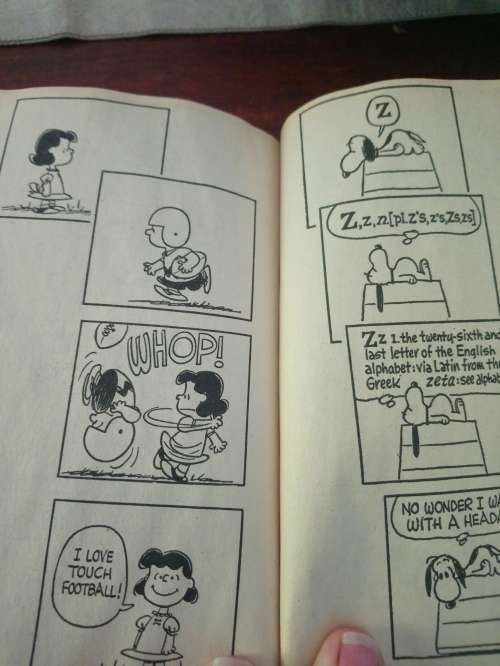 Charlie brown and snoopy