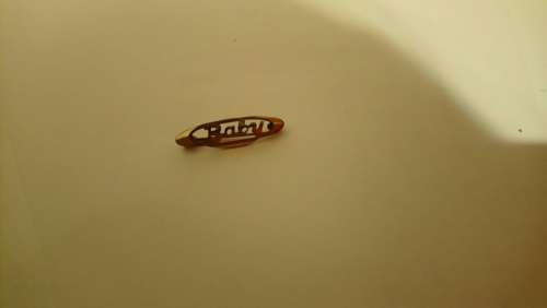 baby brooch