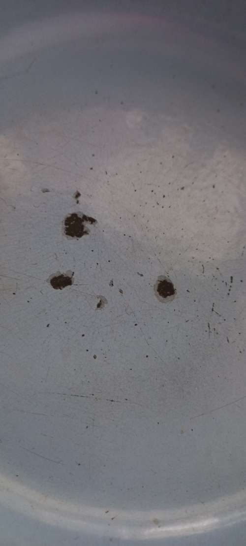 Vintage cast iron pot