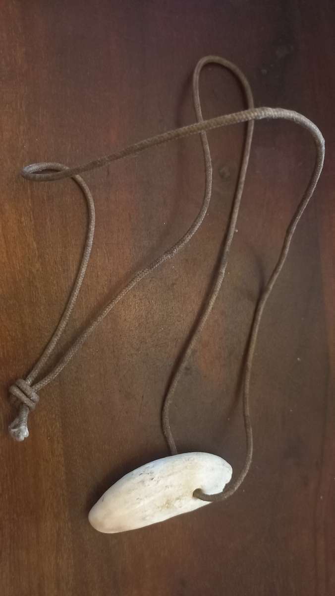 Vintage tooth necklace