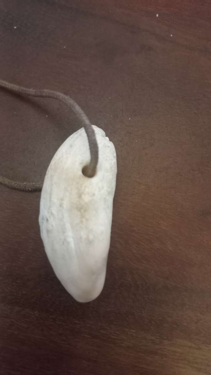 Vintage tooth necklace