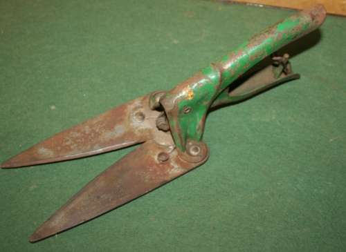 I love the sculptural shape of these old sheep or garden shears, they are almost hear shaped.