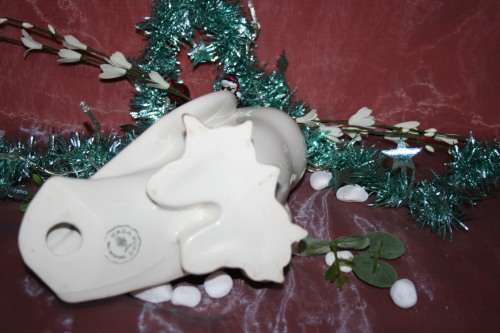 CASA PUPO PORTUGAL MALE FAN TAILED PIGEON DOVE BIRD