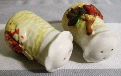 Beautiful light cream colored porcelain salt and pepper shaker with stylized  raised  - BI