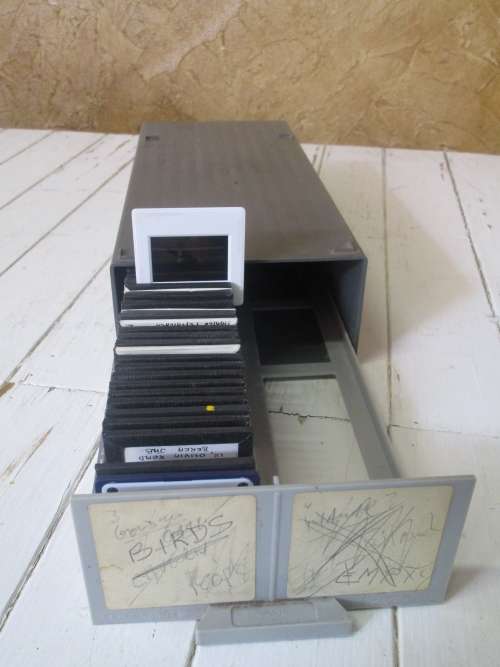 A COLLECTION OF REAL PROFESSIONAL PHOTOGRAPHY SLIDED - MOST BEAUTIFUL PICTURES OF BIRDS