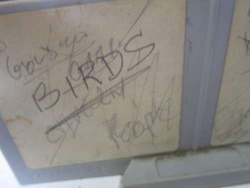 A COLLECTION OF REAL PROFESSIONAL PHOTOGRAPHY SLIDED - MOST BEAUTIFUL PICTURES OF BIRDS