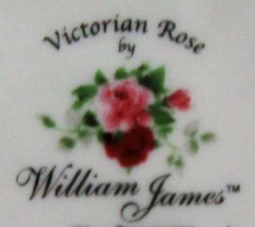 A STUNNING FLORAL VICTORIAN ROSE CUP & SAUCER BY WILLIAM JAMES -