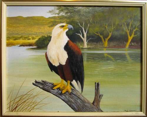 AN AMAZING SIGNED OIL ON BOARD STUNNING FISH EAGLE BY ROB CURWEN