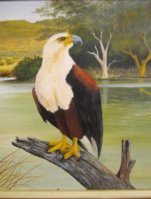 AN AMAZING SIGNED OIL ON BOARD STUNNING FISH EAGLE BY ROB CURWEN