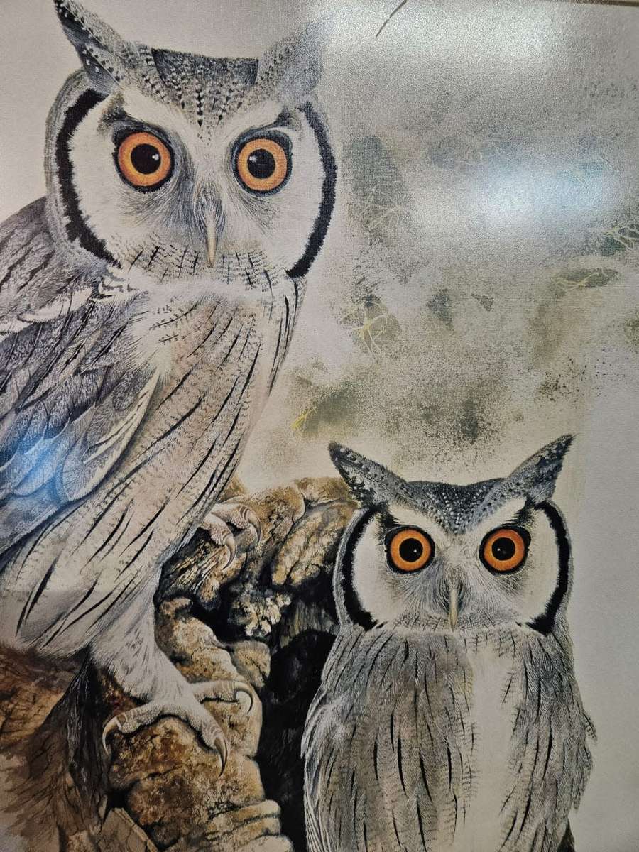 Owl Print by Chris van Rooyen