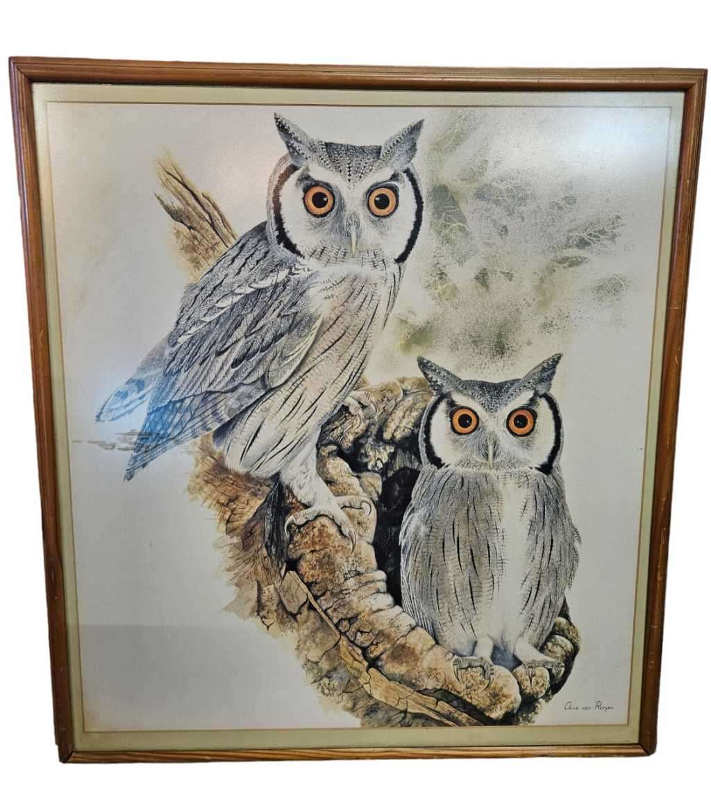 Owl Print by Chris van Rooyen
