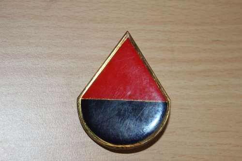 44 Para Brigade Delta Company Flash Metal with 2 pins