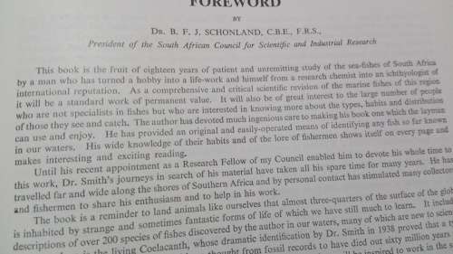 THE SEA FISHES OF SOUTHERN AFRICA by J L B SMITH
