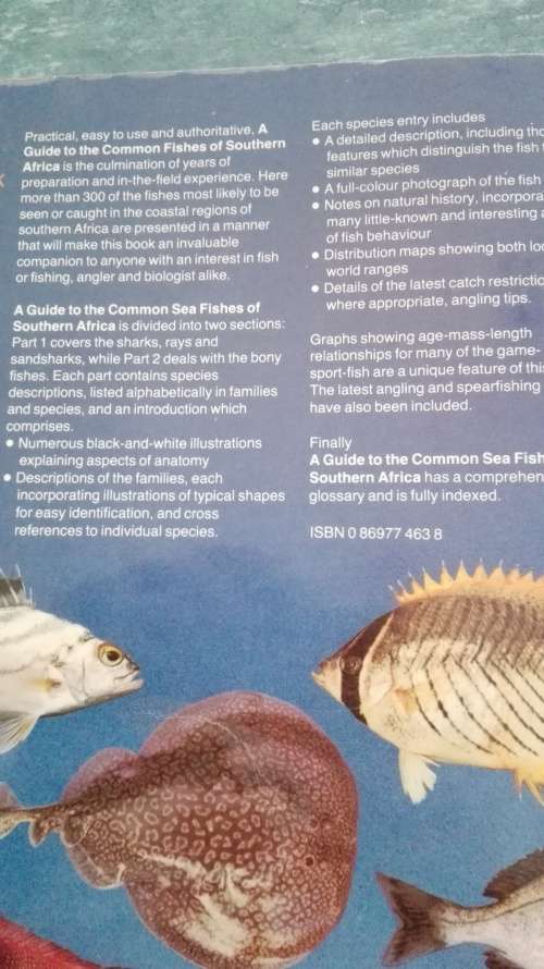 A GUIDE TO THE COMMON SEA FISHES OF SOUTHERN AFRICA BY RUDY VAN DER ELST Revised Second Edition