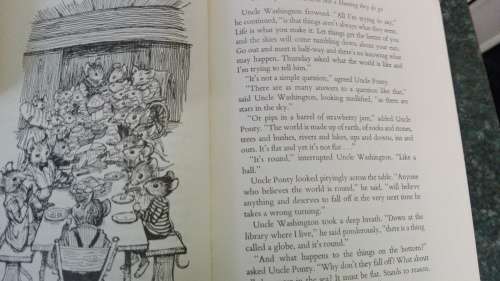 2 Books A BEAR CALLED PADDINGTON plus A MOUSE CALLED THURSDAY MICHAEL BOND