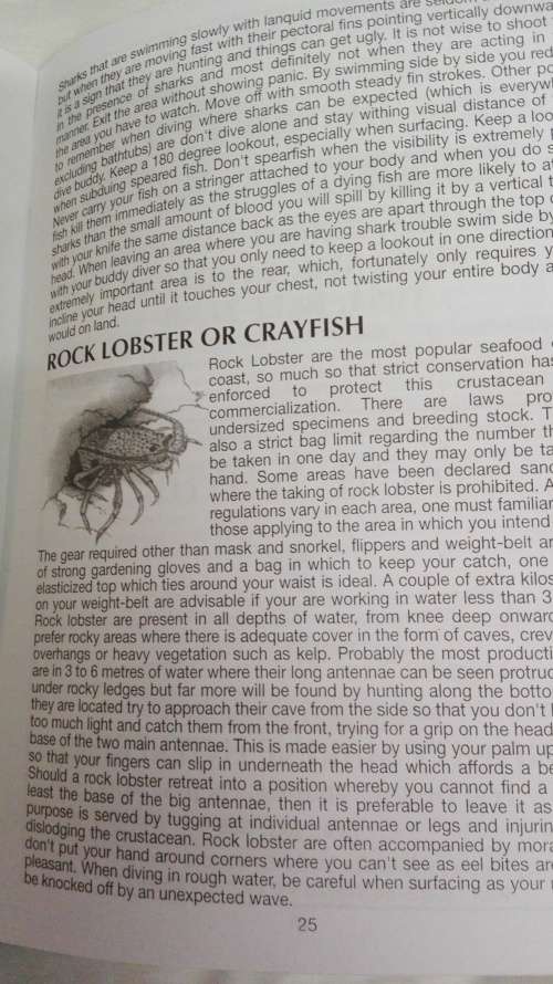 3  books by Len Jones :  Anglers Atlas No 1 , Natal Coast Fishing Guide and Guide to Spearfishing