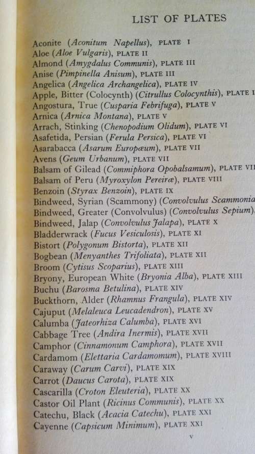 A MODERN HERBAL Mrs M Grieve edited by C F Leyel The medicinal, culinary. cosmetic ( Health )