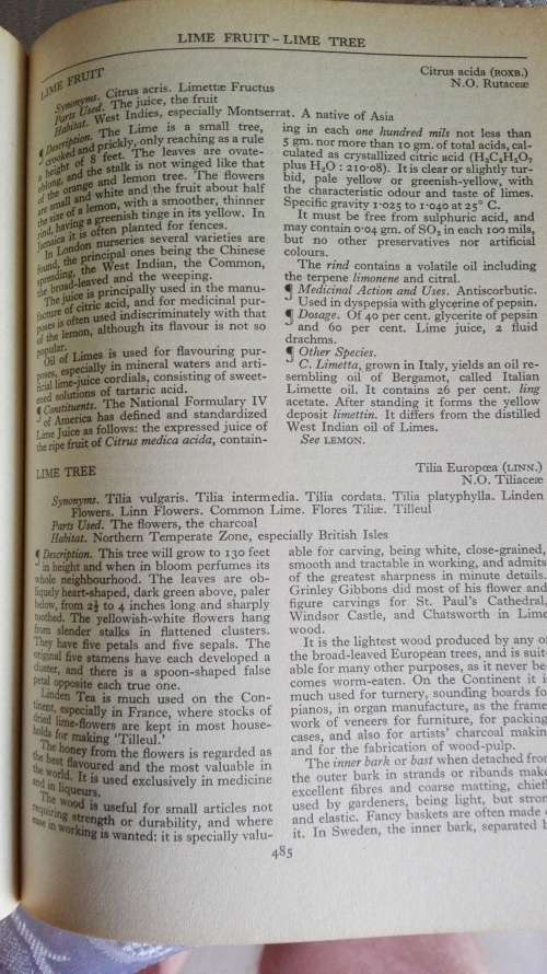 A MODERN HERBAL Mrs M Grieve edited by C F Leyel The medicinal, culinary. cosmetic ( Health )