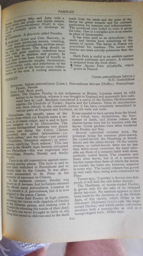 A MODERN HERBAL Mrs M Grieve edited by C F Leyel The medicinal, culinary. cosmetic ( Health )