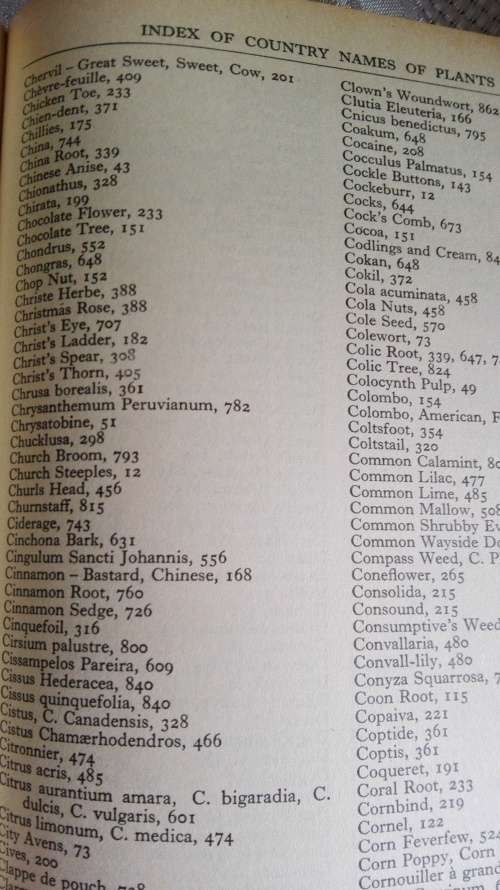 A MODERN HERBAL Mrs M Grieve edited by C F Leyel The medicinal, culinary. cosmetic ( Health )