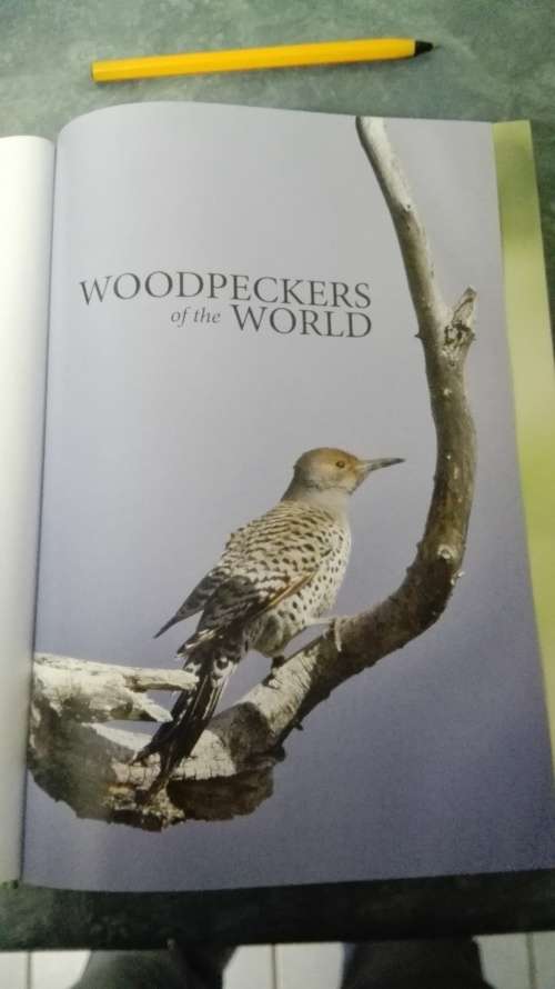 WOODPECKERS OF THE WORLD ; A Photographic Guide : GERARD GORMAN First Printing 2014