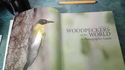 WOODPECKERS OF THE WORLD ; A Photographic Guide : GERARD GORMAN First Printing 2014