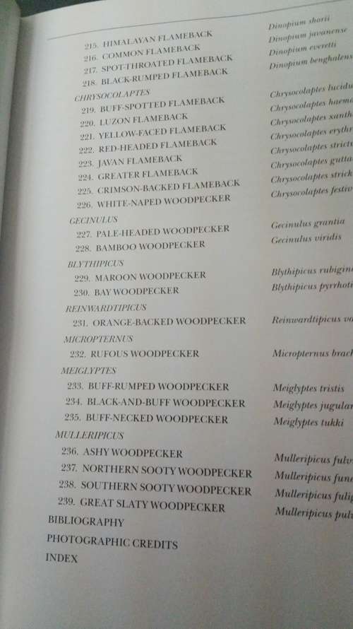 WOODPECKERS OF THE WORLD ; A Photographic Guide : GERARD GORMAN First Printing 2014