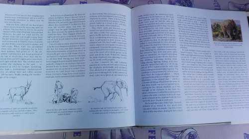 ELEPHANTS OF AFRICA PAUL BOSMAN AND ANTHONY HALL MARTIN with Foreword by Anton Rupert