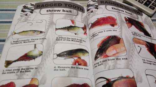 ROCK AND SURF BAIT GUIDE Angling Times