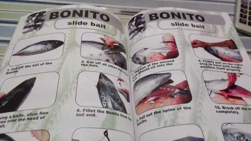 ROCK AND SURF BAIT GUIDE Angling Times