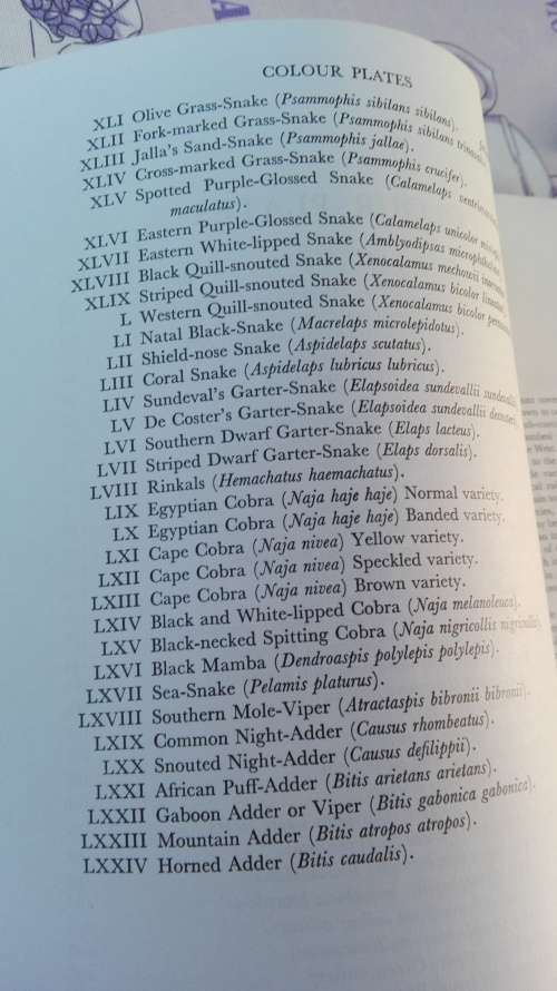 SNAKES of Southern Africa VIVIAN F M FITZSIMONS plus Poster "  The John Visser Guide to Dangerous