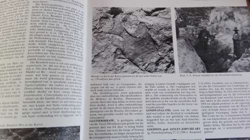 Die Beknopte Geillustreerde ENSIKLOPEDIE van SUID AFRIKA Peter Schirmer ( Geskiedenis ens )