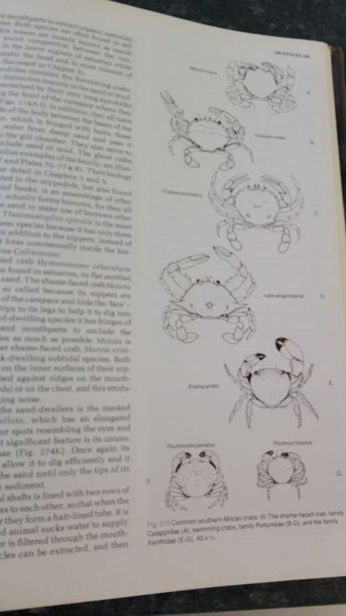 The Living Shores of Southern Africa by Margo & George Branch