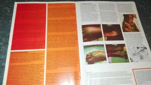 SNAKES of Southern Africa VIVIAN F M FITZSIMONS plus Poster "  The John Visser Guide to Dangerous