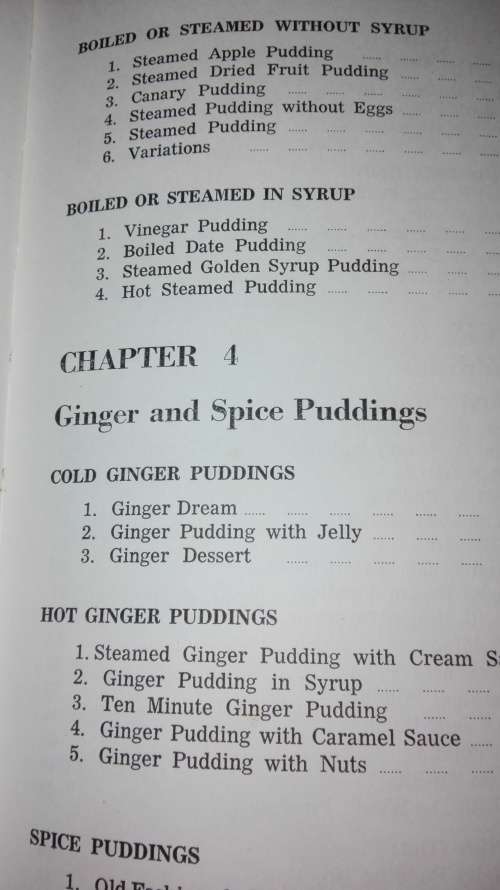 FAVOURITE SOUTH AFRICAN DESERTS ERINA BEZUIDENHOUT