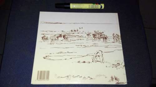 ETOSHA Animal Art of Etosha Department of Agriculture South West Africa